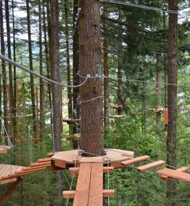 Zipline Tours | Aerial Park | E-Bike Rentals | Axe Throwing